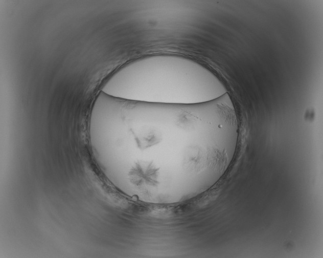 X0000112960353200908270924