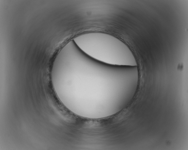 X0000112960354200908270924