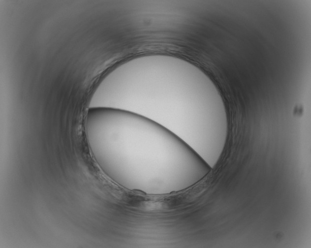X0000112960356200908270924