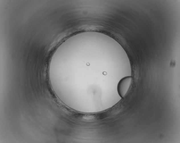X0000112960357200908270924