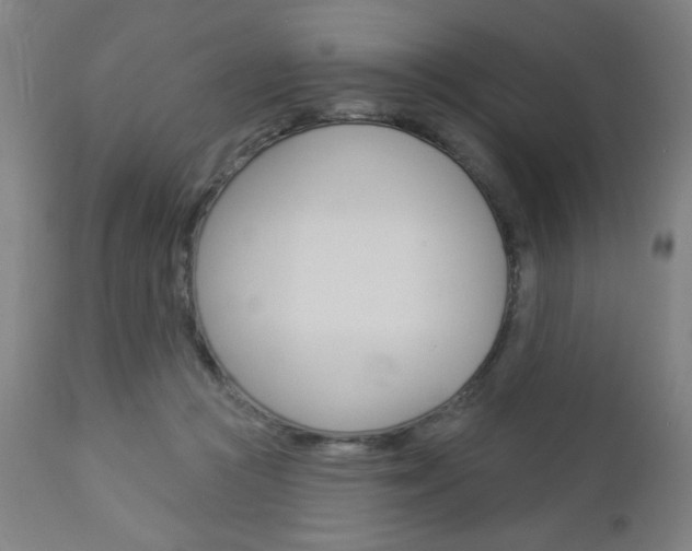 X0000112960361200908270925