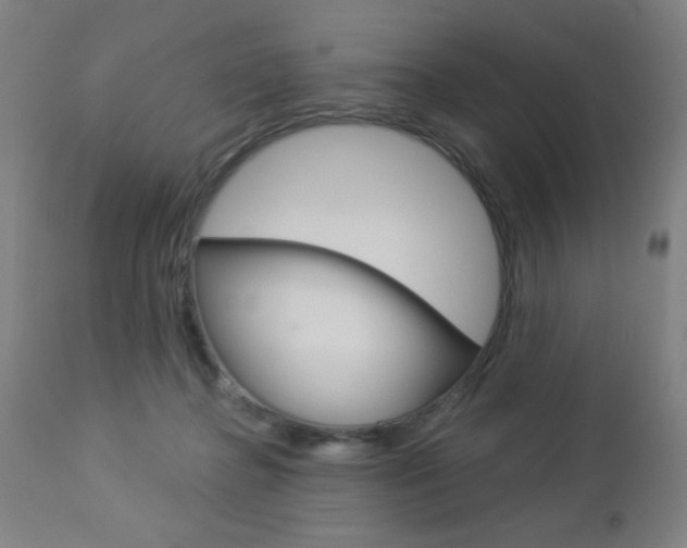 X0000112960364200908270925