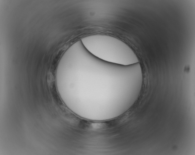 X0000112960371200908270925