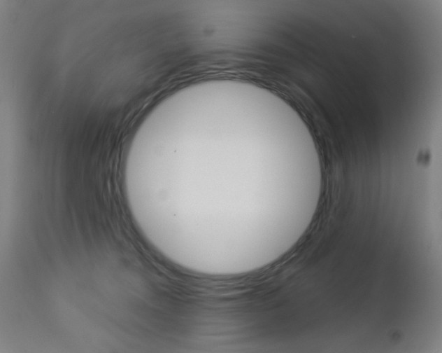 X0000112960372200908270925