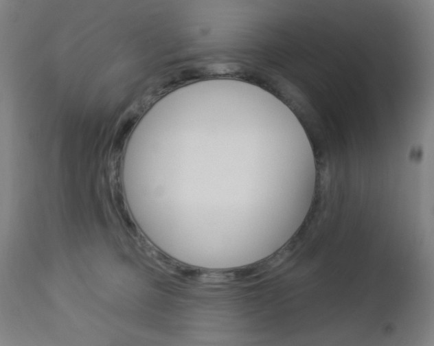X0000112960373200908270925