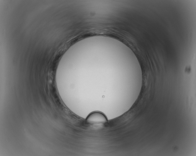 X0000112960374200908270925