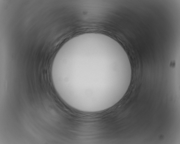X0000112960376200908270925