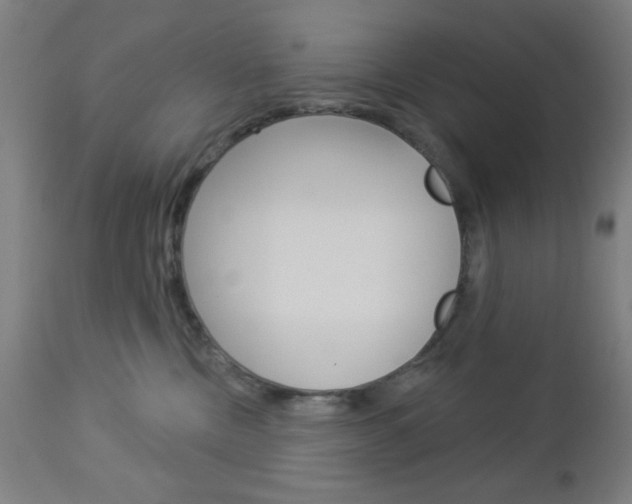 X0000112960378200908270925