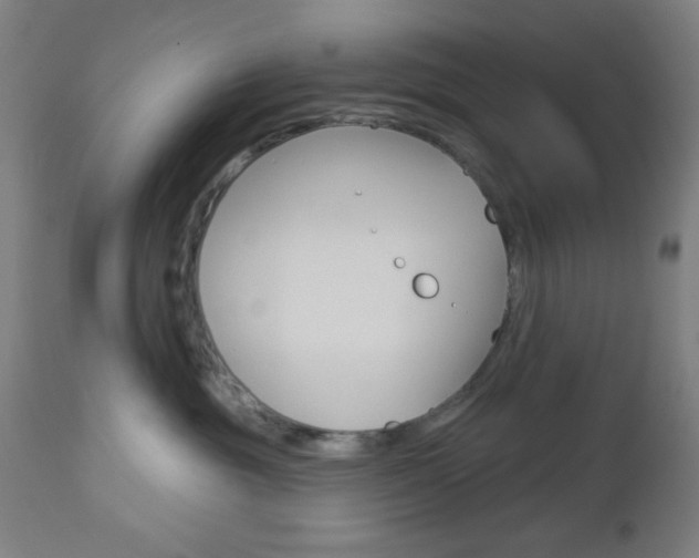 X0000112960381200908270925