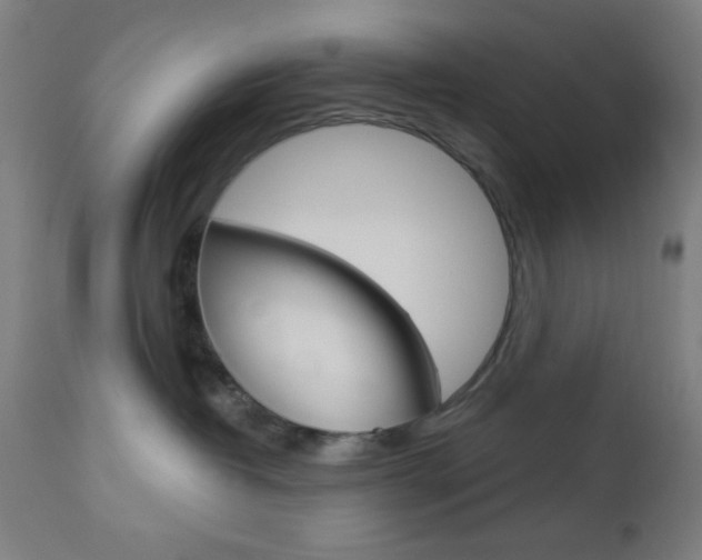 X0000112960382200908270925