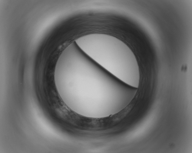 X0000112960383200908270925