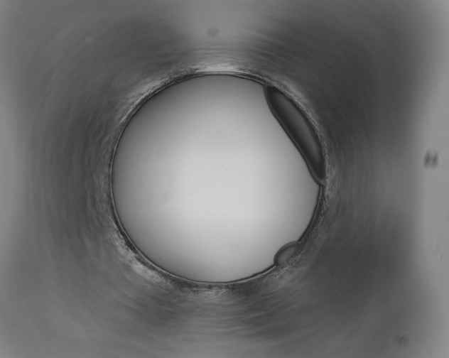 X0000112960385200908270924