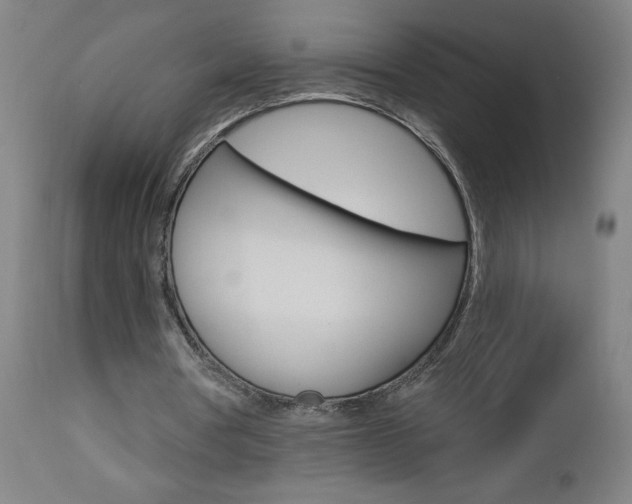 X0000112960386200908270924