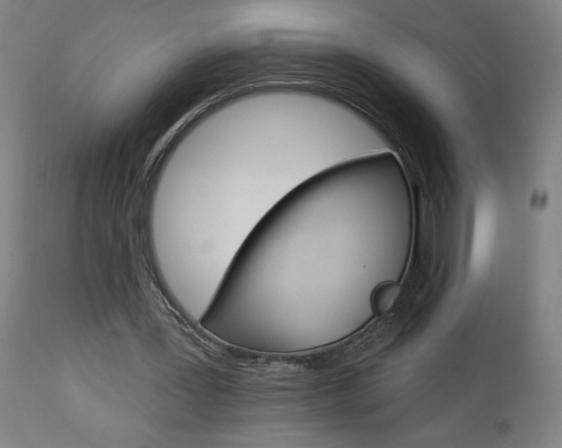 X0000112960387200908270924