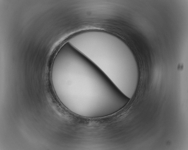 X0000112960388200908270924