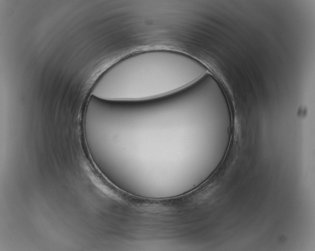 X0000112960389200908270924