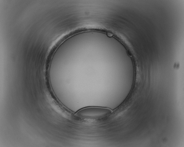 X0000112960391200908270924