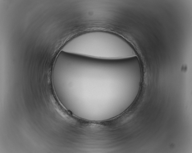 X0000112960393200908270924