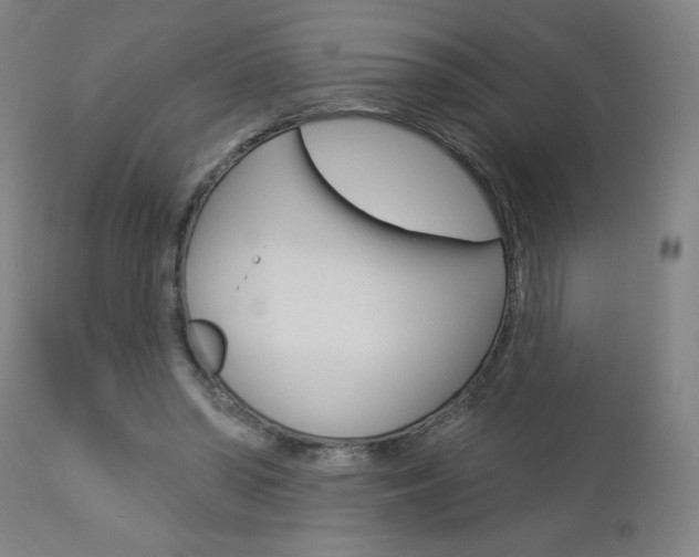 X0000112960398200908270924