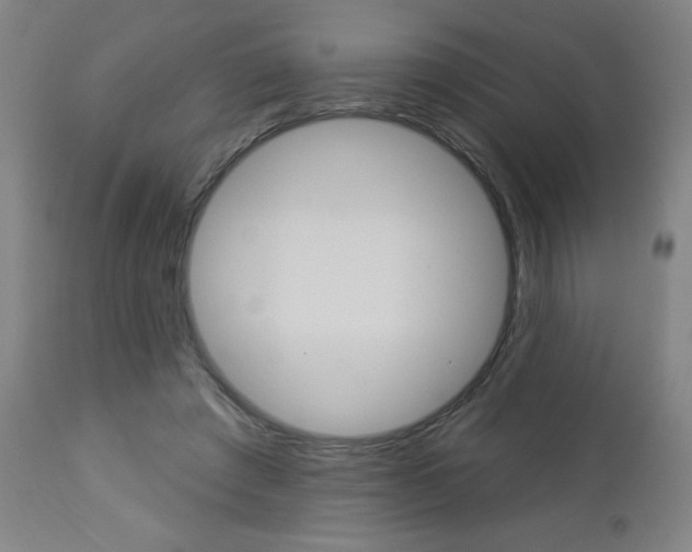 X0000112960401200908270924