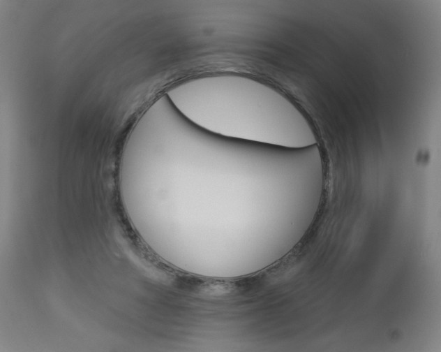 X0000112960402200908270924