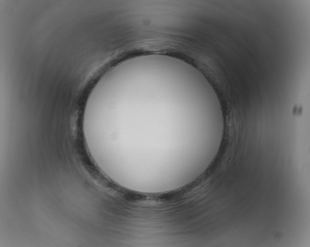 X0000112960404200908270924