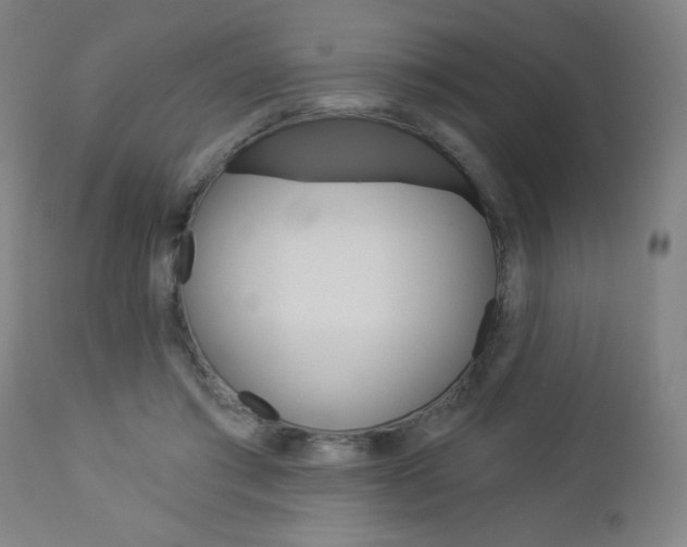 X0000112960405200908270924
