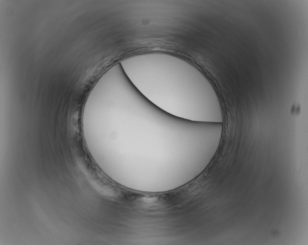 X0000112960406200908270924
