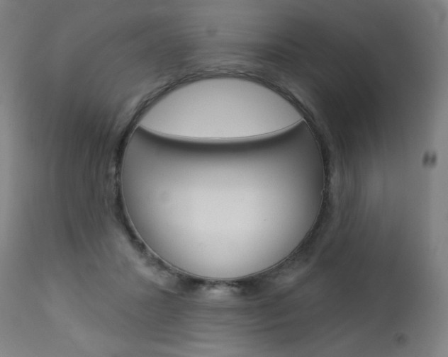 X0000112960407200908270924