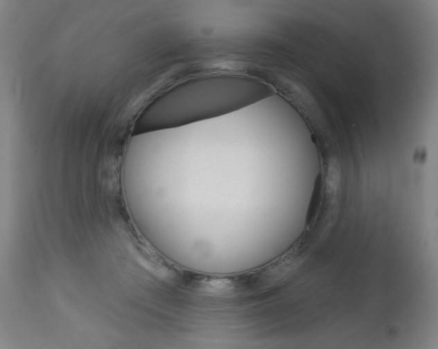 X0000112960409200908270924