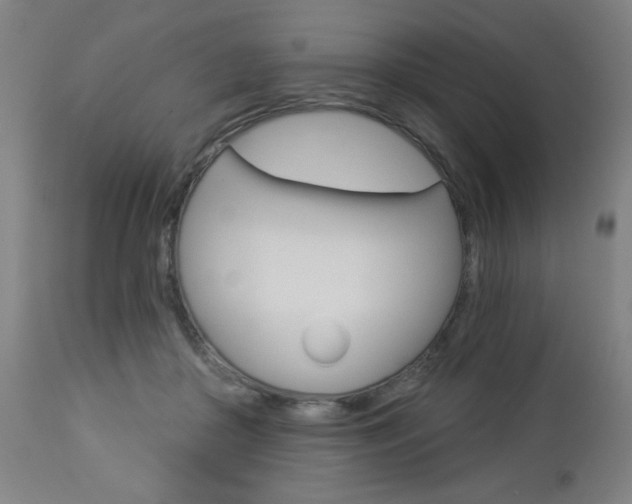 X0000112960410200908270924