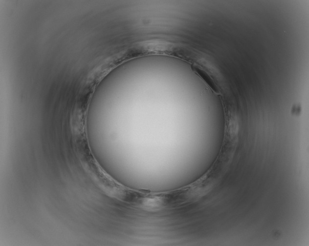 X0000112960411200908270924