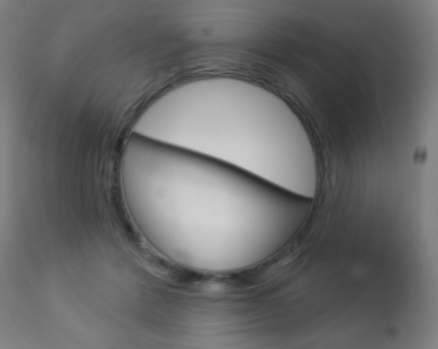 X0000112960412200908270924