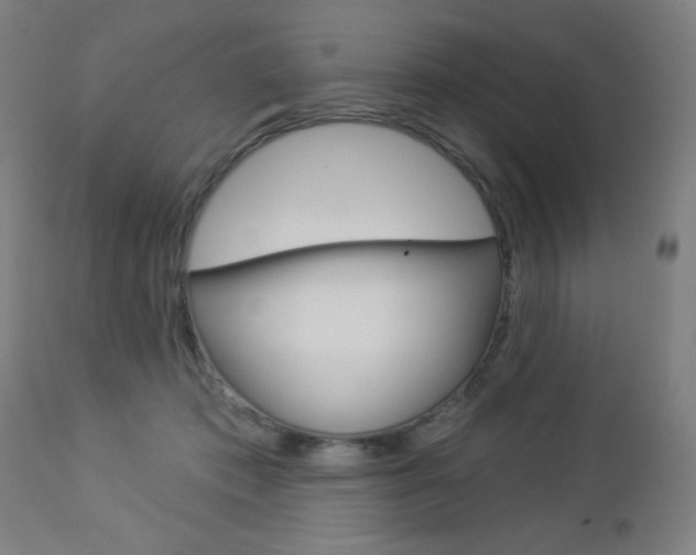 X0000112960413200908270924
