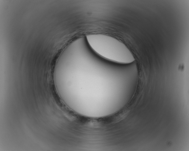 X0000112960416200908270924
