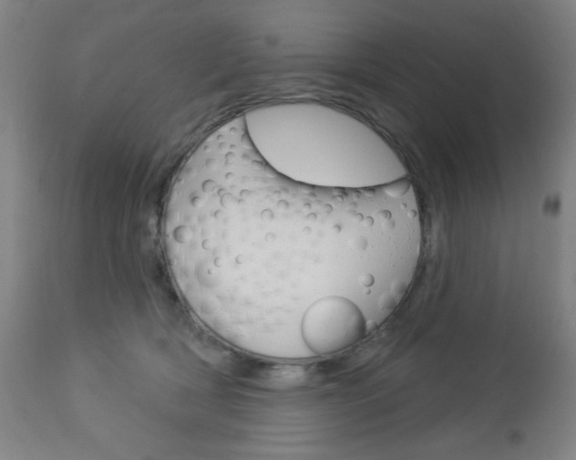 X0000112960418200908270924