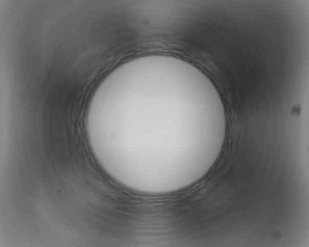 X0000112960419200908270924