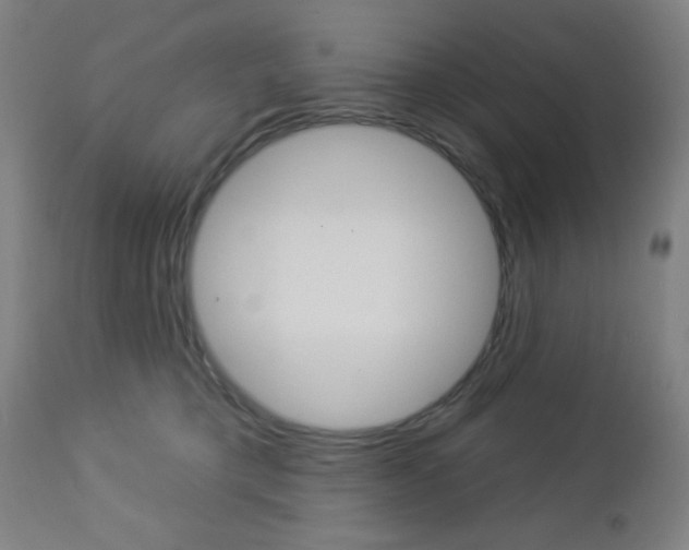 X0000112960421200908270924