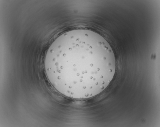 X0000112960422200908270924