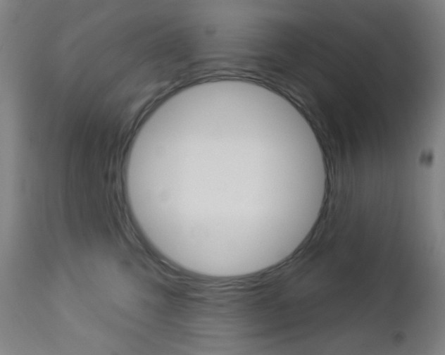 X0000112960423200908270923