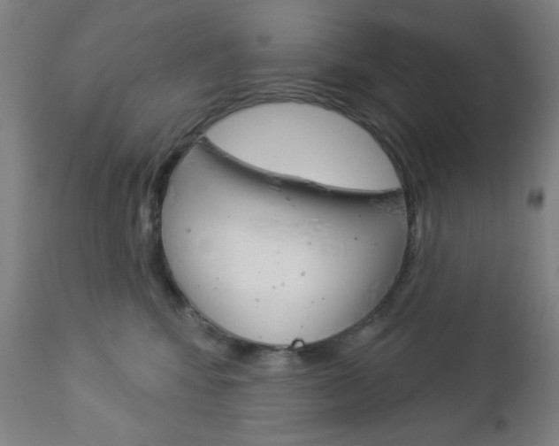 X0000112960424200908270923