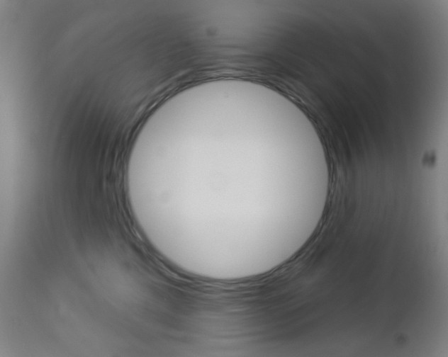 X0000112960425200908270923
