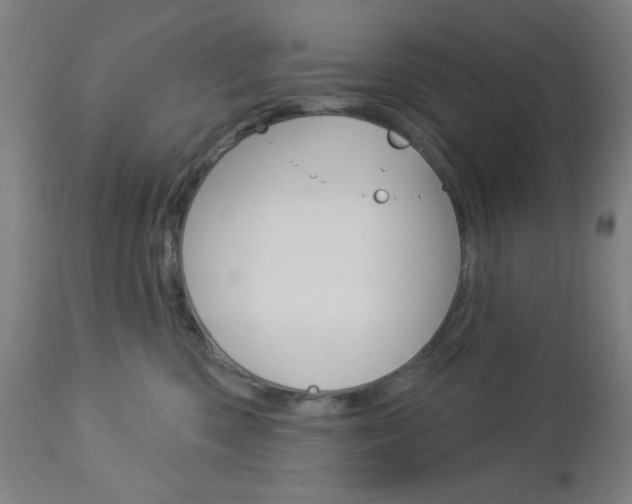 X0000112960426200908270923