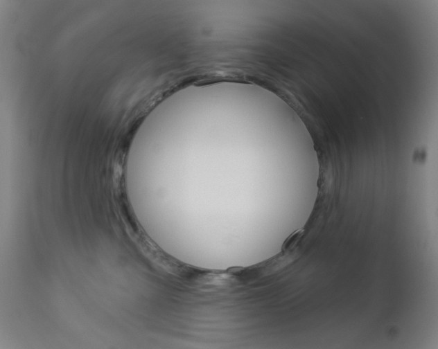 X0000112960427200908270923
