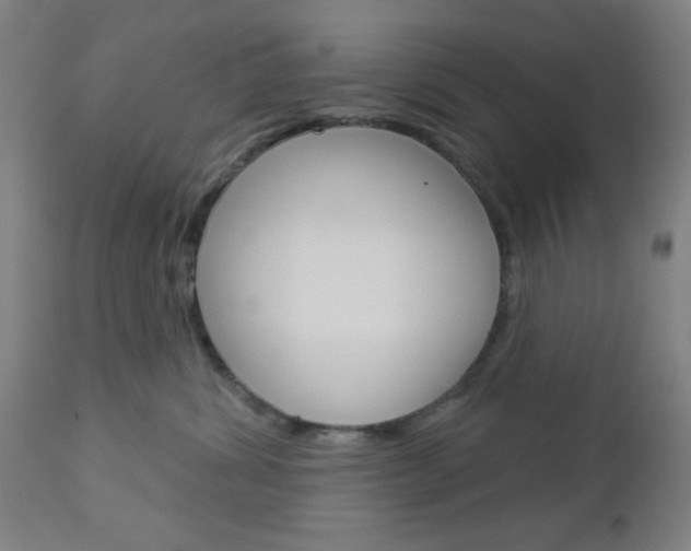 X0000112960428200908270923