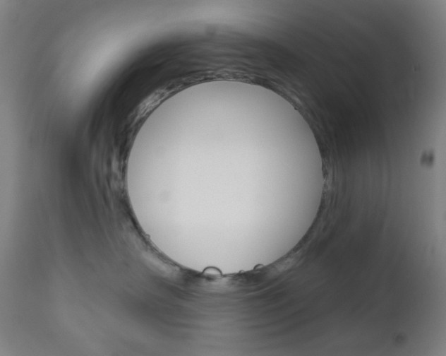 X0000112960430200908270923
