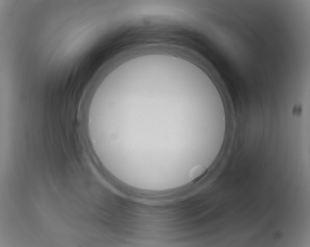 X0000112960431200908270923
