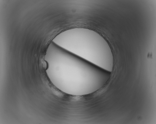 X0000112960432200908270923