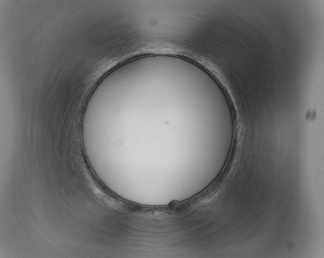 X0000112960433200908270923
