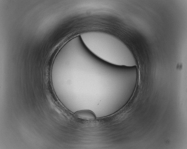 X0000112960435200908270923